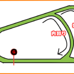 【菊花賞2024・予想】春の実績馬か？夏の上がり馬か？