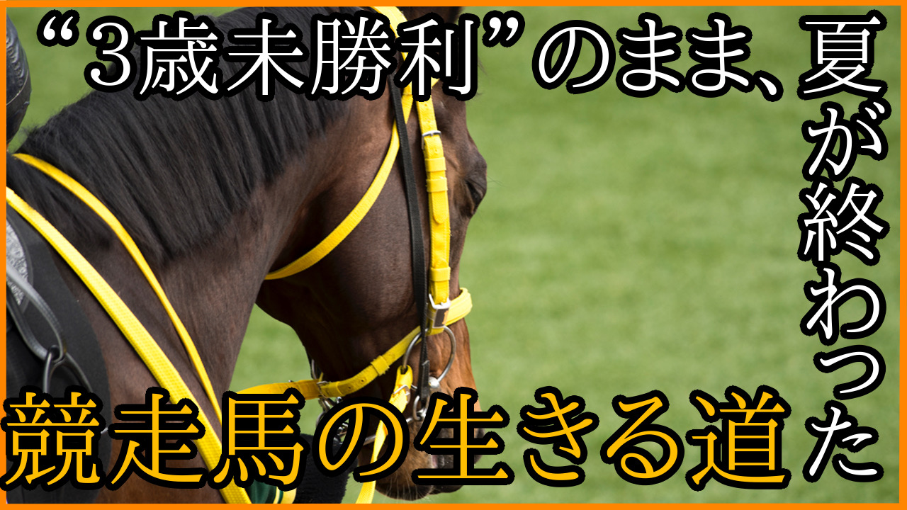 3歳未勝利”のままで「夏競馬」が終わってしまった競走馬の生きる道